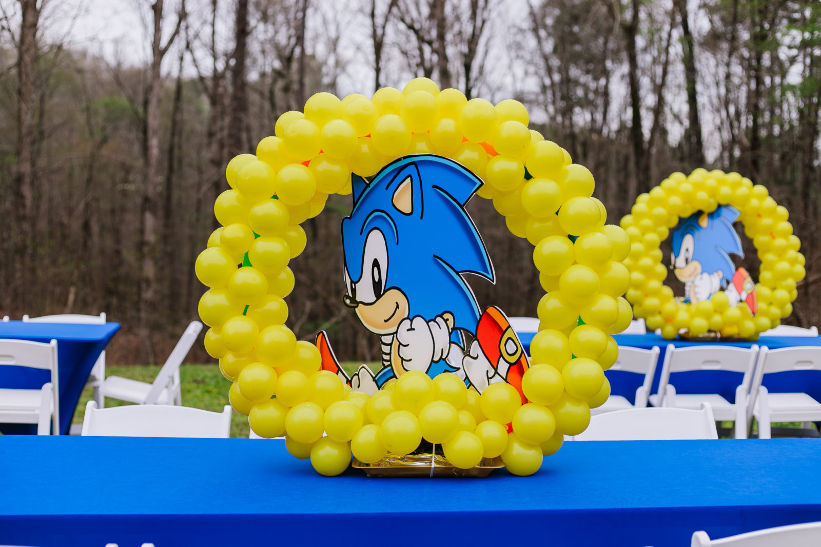 Sonic the Hedgehog Themed Birthday Party - Life with NitraaB